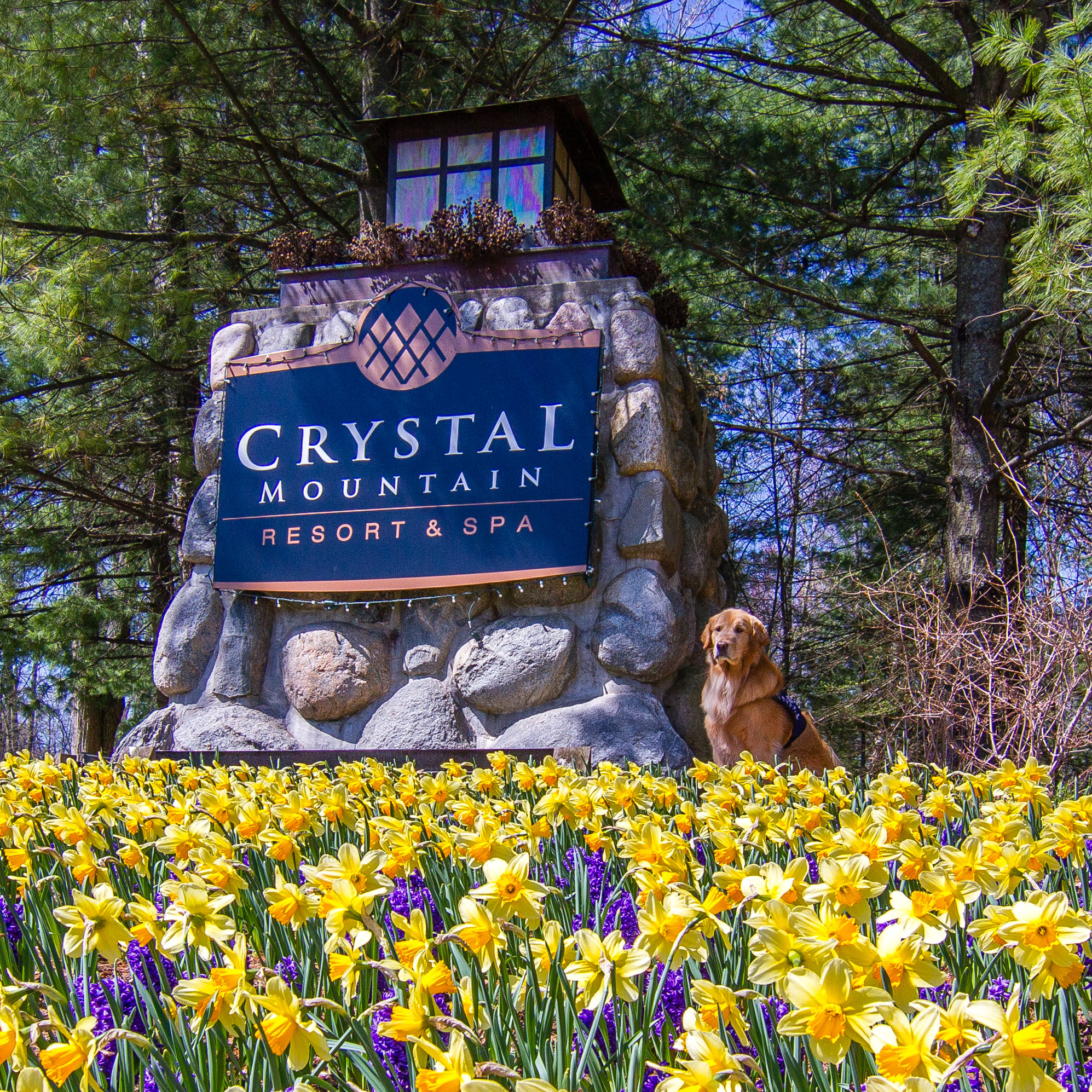 Meet Fisher Crystal Mountain Michigan